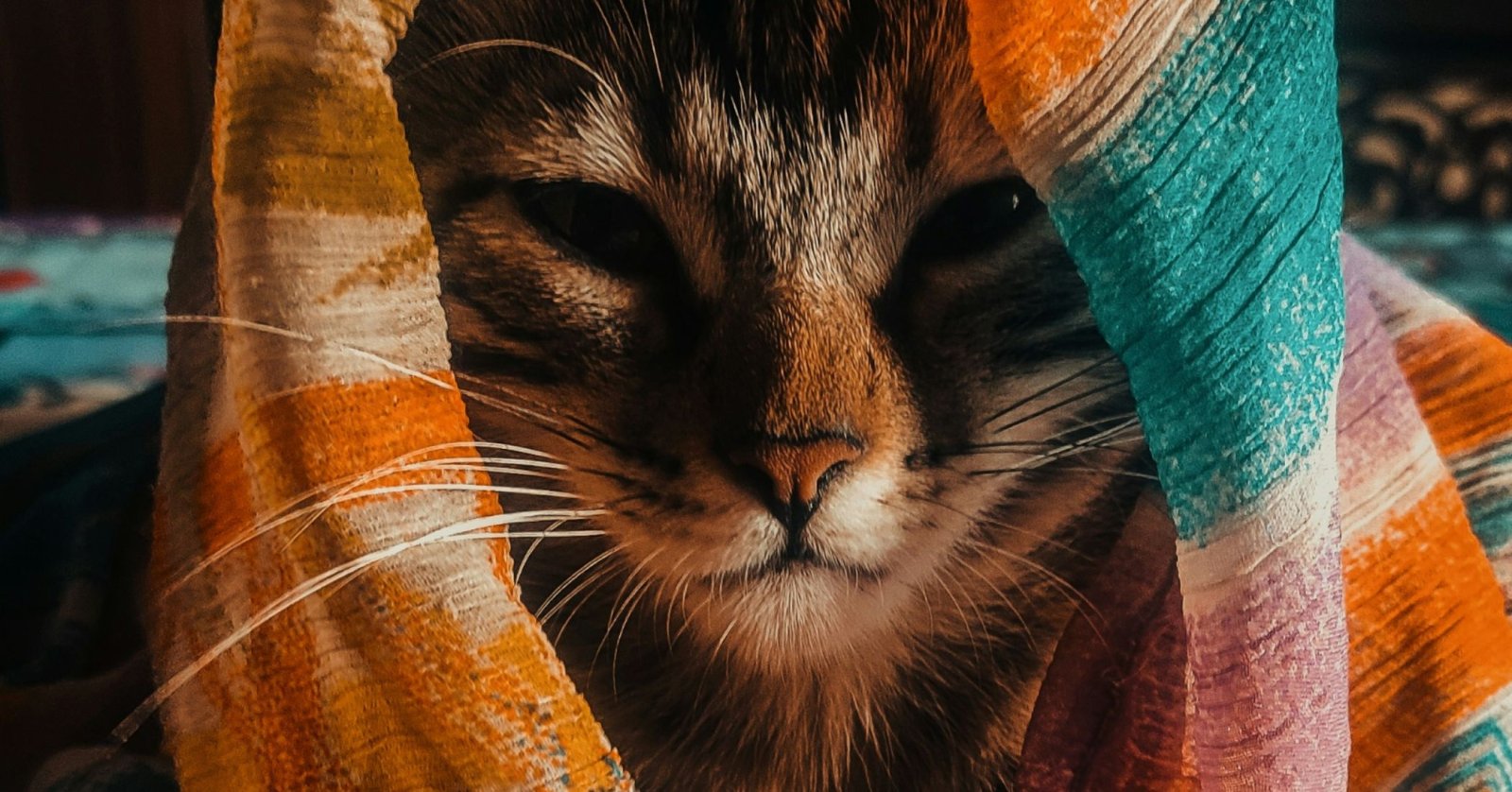 Awakening Your Filmmaking Project from Sleep Mode.jpg