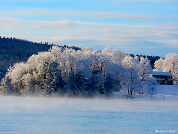 Frosty Forest copy.jpg
