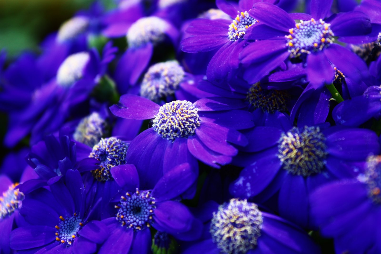 IMG_0551 (2)-01.jpeg