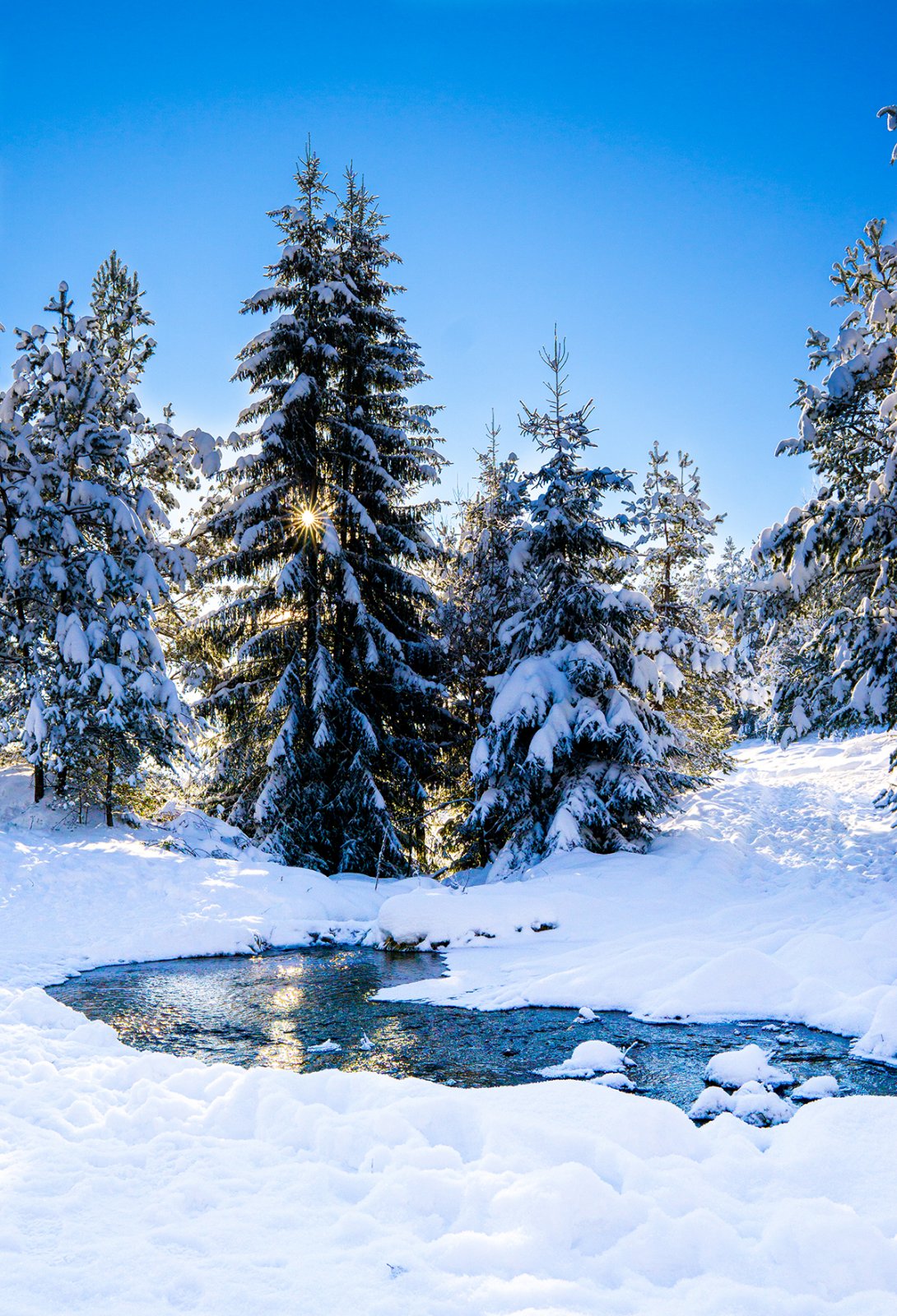 Nial_Media_Water in the snow.jpg