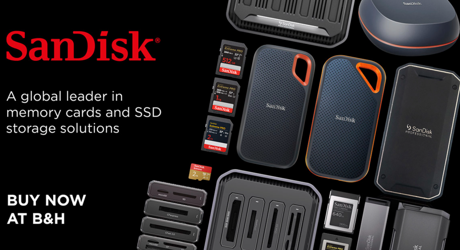 SanDisk March 2025.png