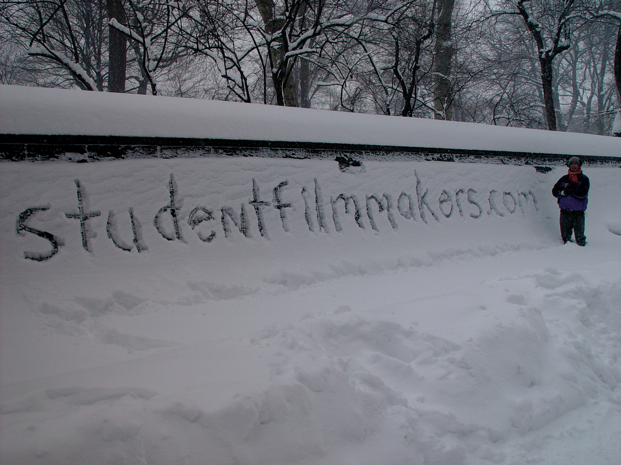 studentfilmmakerssnowbanner.jpg