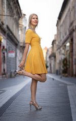 Metianu Street, Arad.jpg