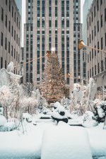 12.17.20 - Snow in the City-0009 winter contest.jpg