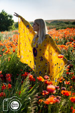 DSC01978.jpg DSC01978.jpg