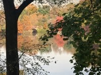 Autumn Best.jpeg