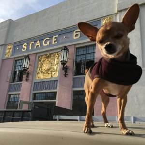 Scarlett at 20th Century Fox