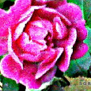 Media 'by any other name' in category 'Photography'