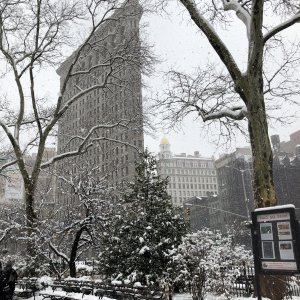 Madison Square Park Flat Iron Building Manhattan